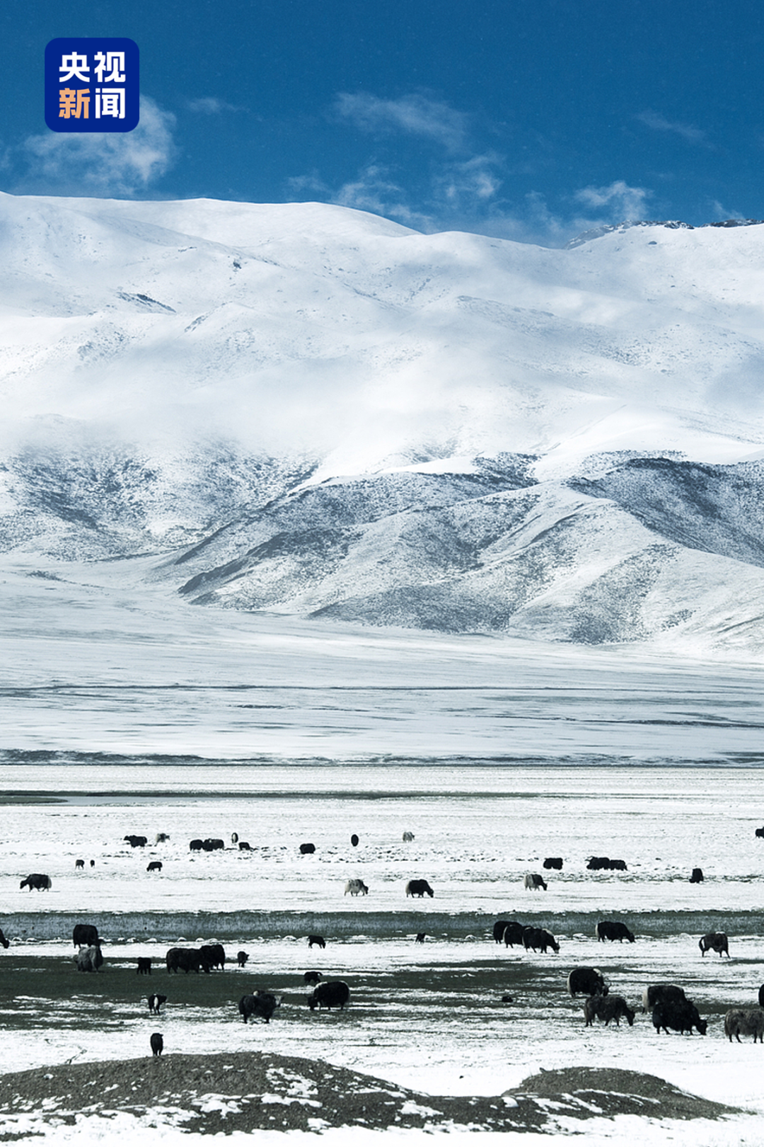 6205345905_d59a564256-160x160