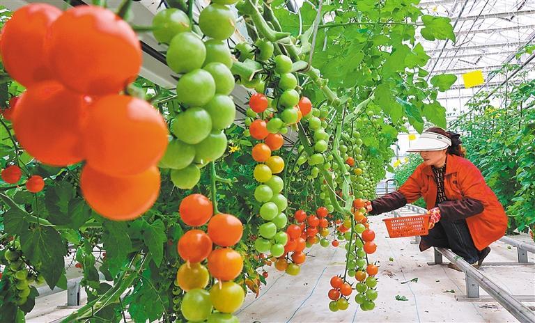 6205345905_d59a564256-160x160