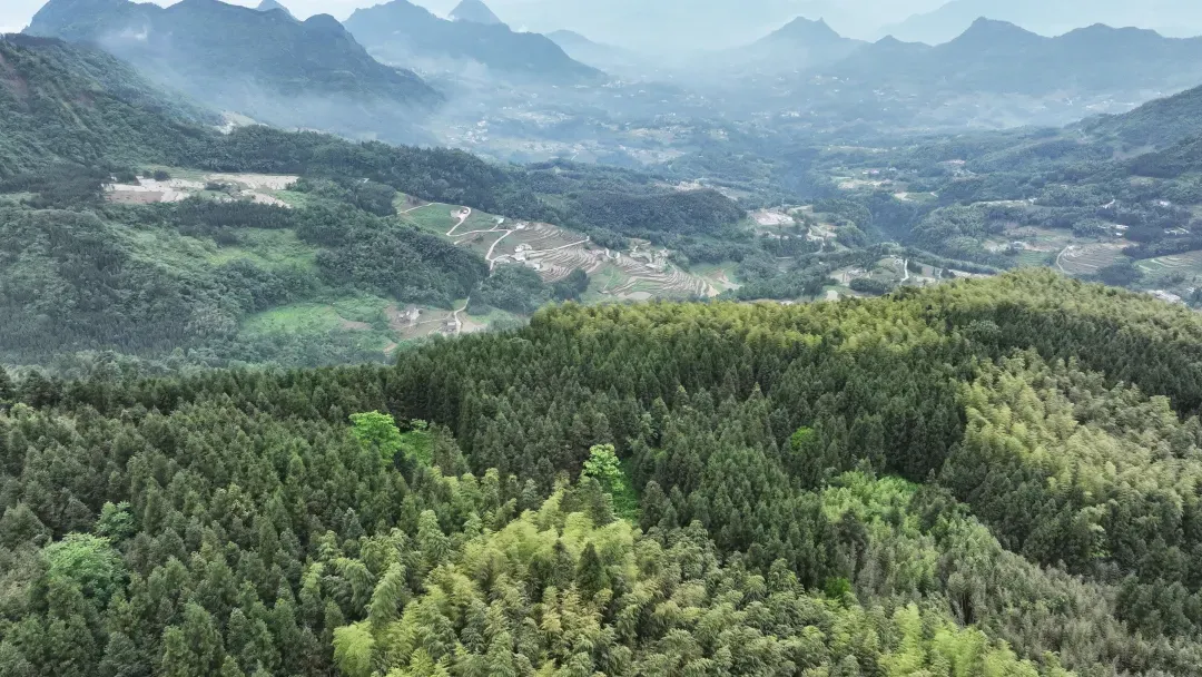 6205345905_d59a564256-160x160