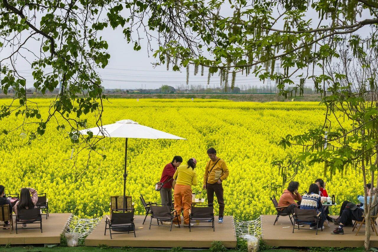 6205345905_d59a564256-160x160