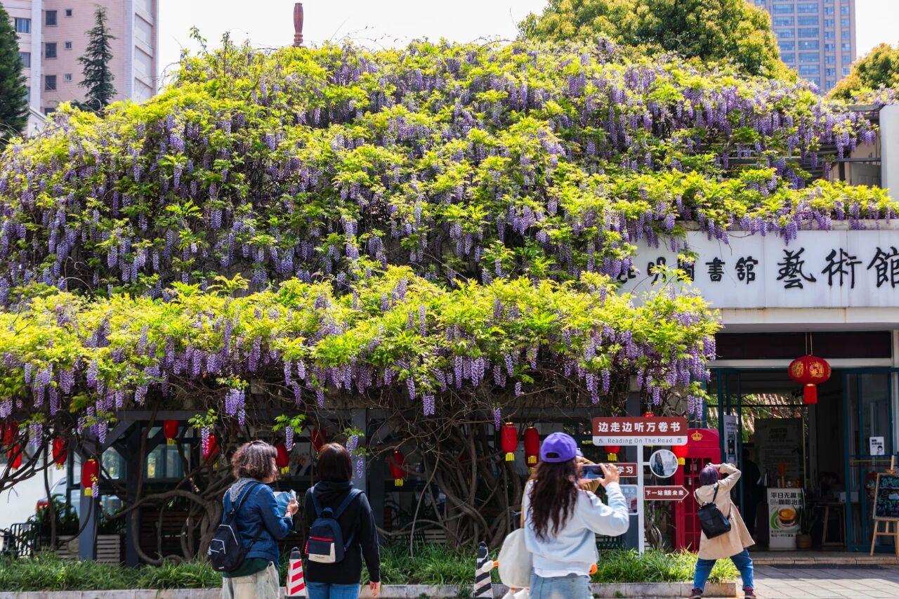 6205345905_d59a564256-160x160