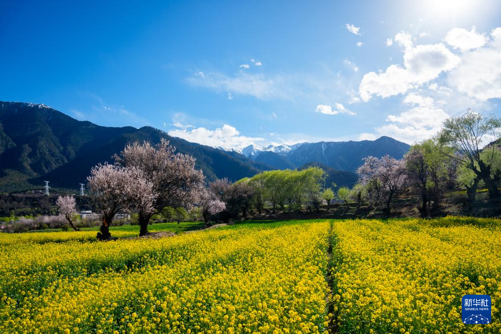 6205345905_d59a564256-160x160