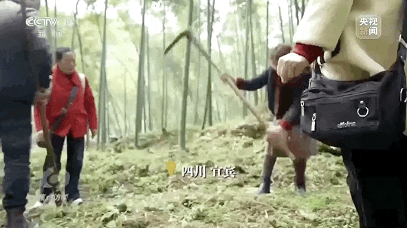 6205345905_d59a564256-160x160