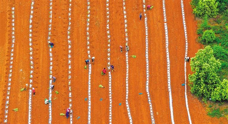 6205345905_d59a564256-160x160