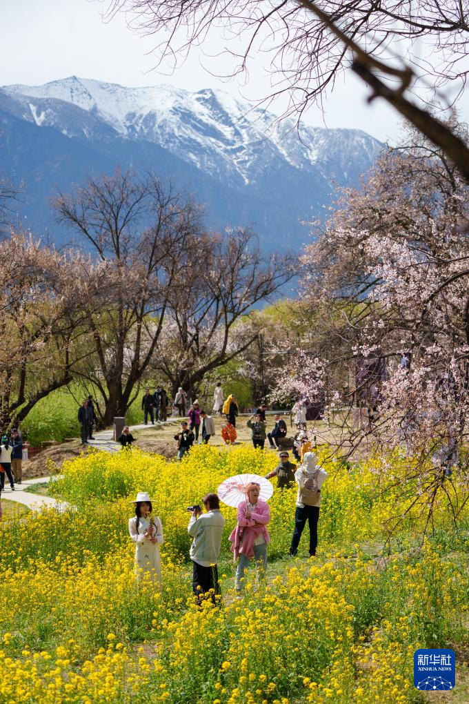 6205345905_d59a564256-160x160